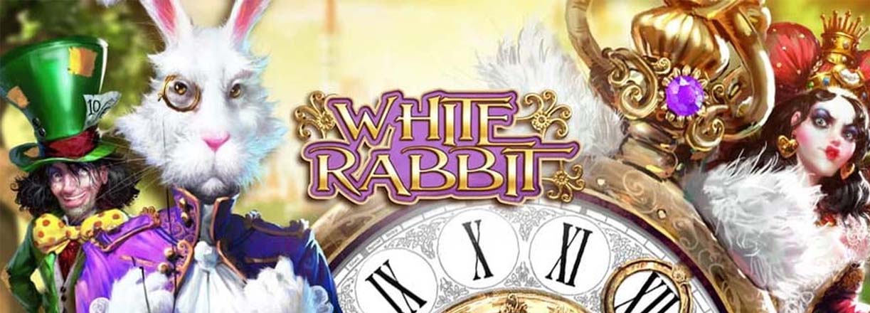 white rabbit - bestes online casino spiel