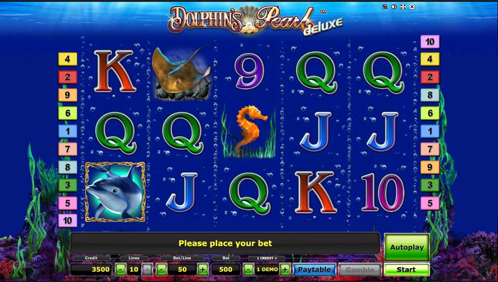 dolphins pearl deluxe