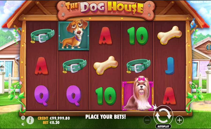 dog house spielautomat